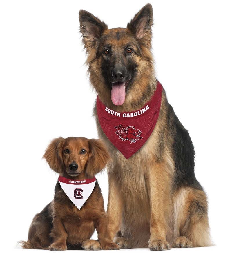 Pets First Collegiate Pet Accessories, Reversible Bandana, South Carolina Gamecocks, Large/X-Large - Image 4
